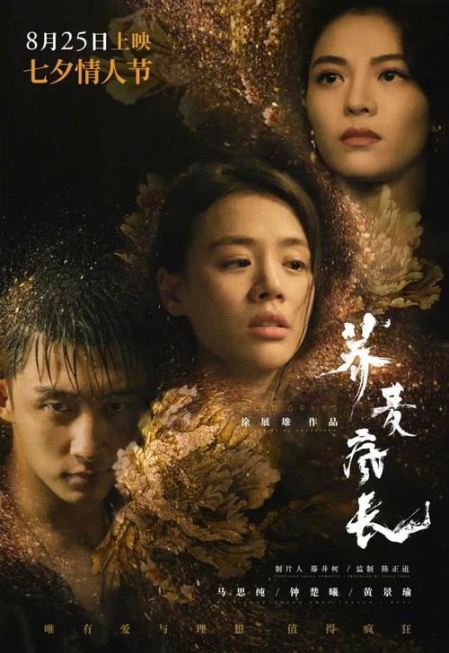 南佛罗里达大学学士学位证